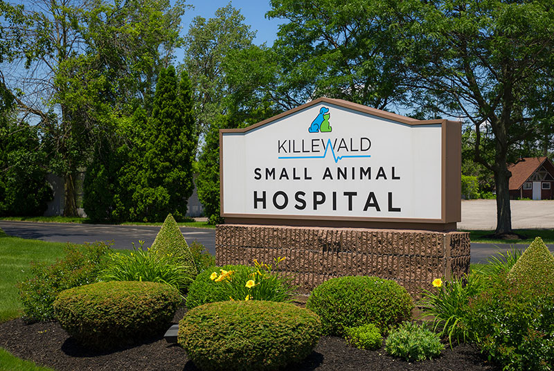 killewald small animal hospital sign